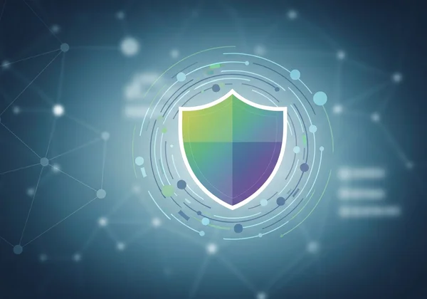 Shield protecting sensitive online test data